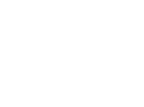 Shop, Einkaufen